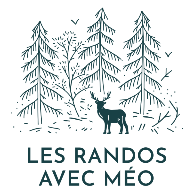 ASAM-SWL Association Suisse des Accompagnateurs en Montagne